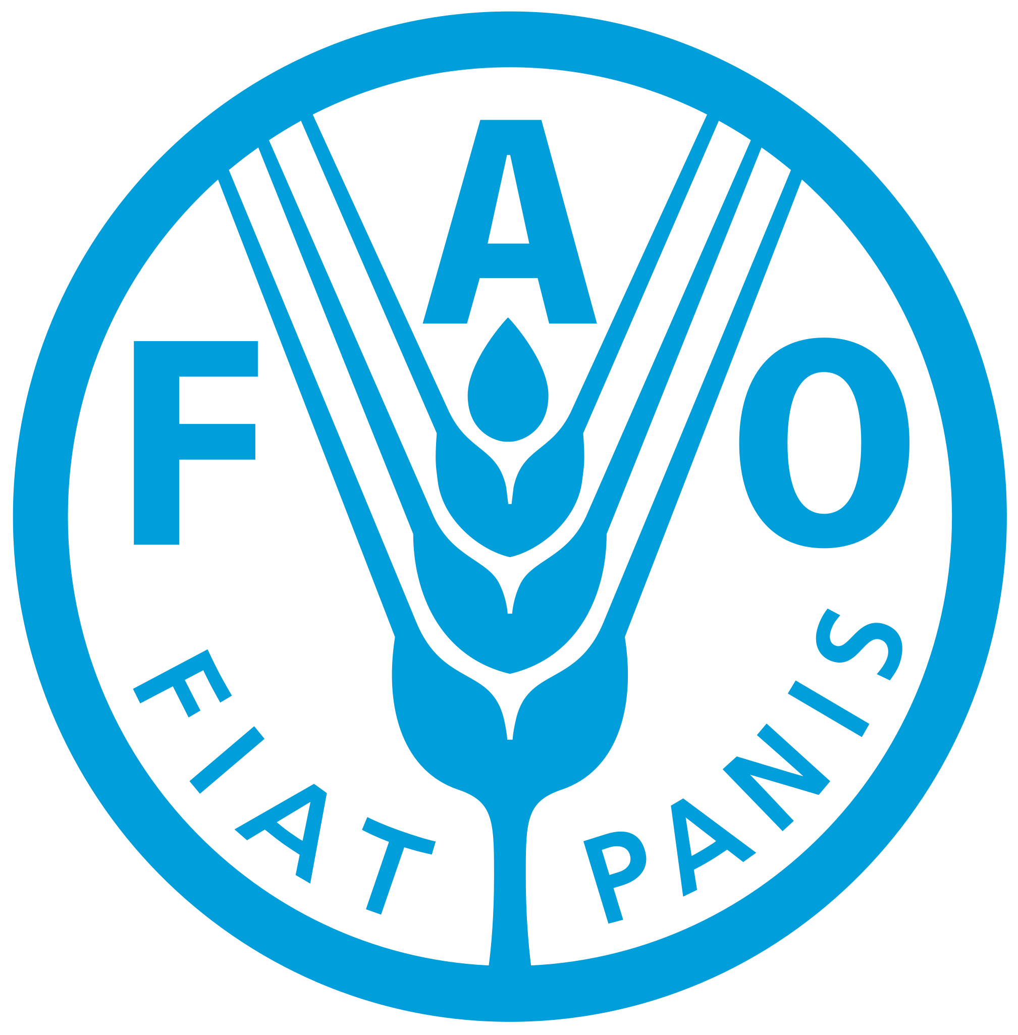 Partner 4