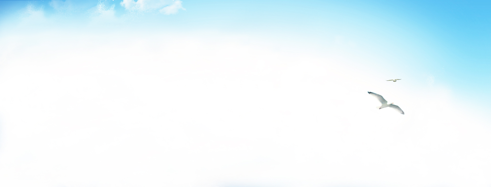 Image slider bg